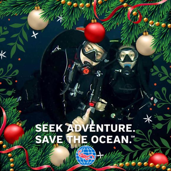 Meet your Posher, Clyde - Picture 1 of 1